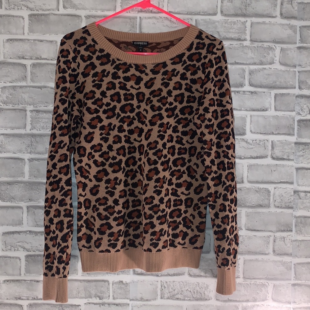 Express Sweater